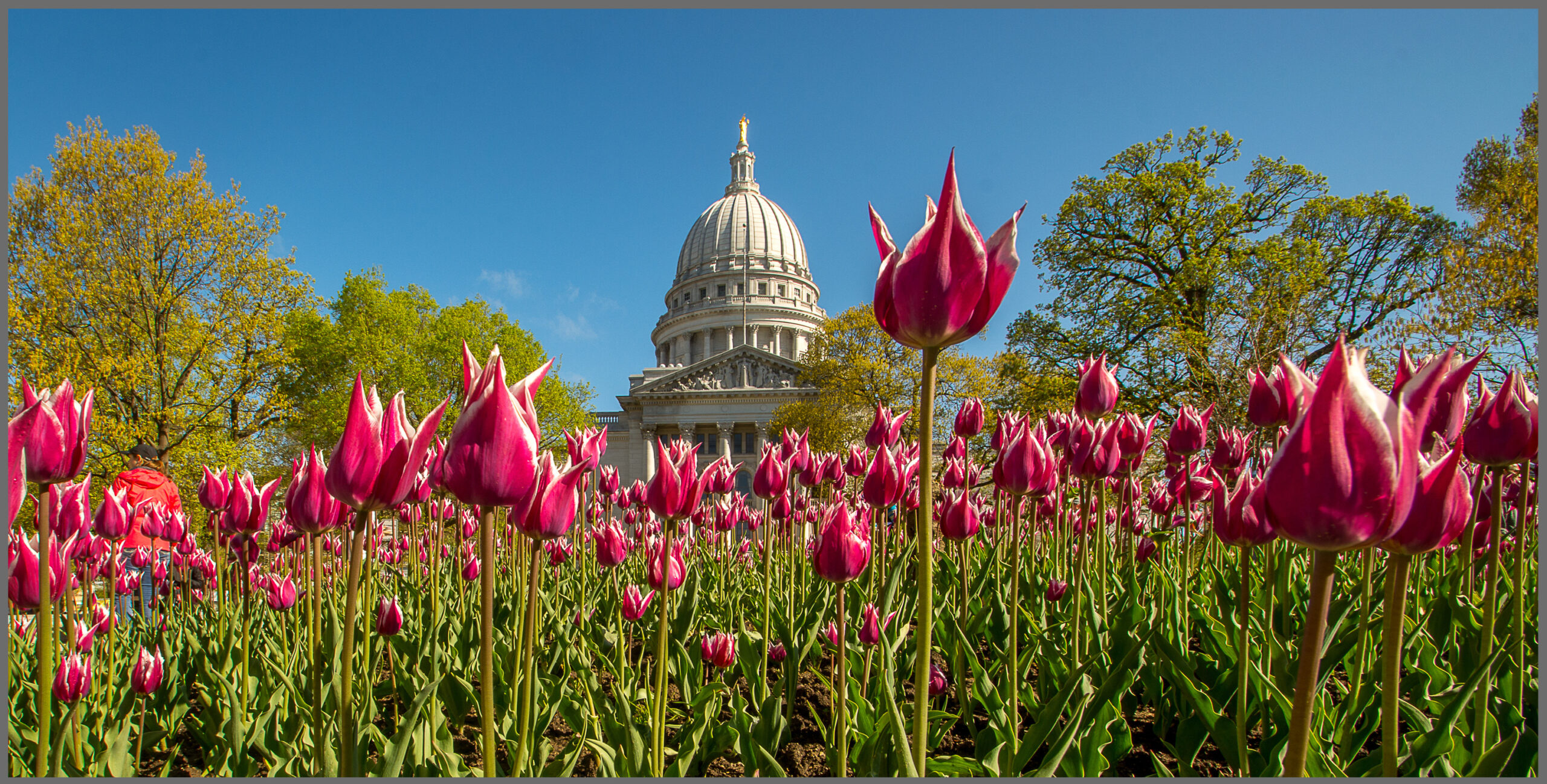 Madison Hero