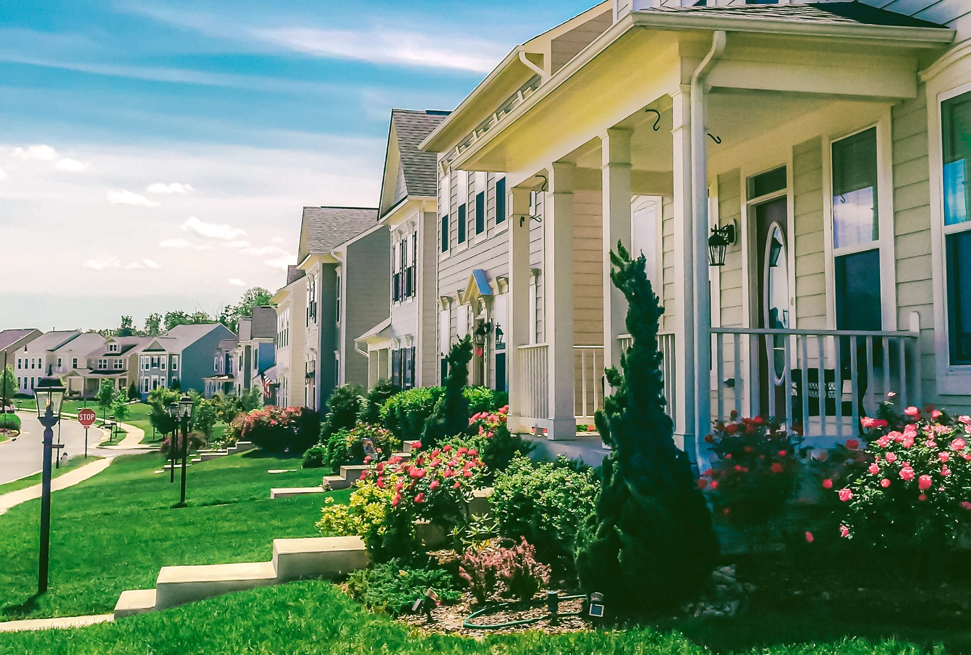 image of front yards and houses lined up on a street in a neighborhood